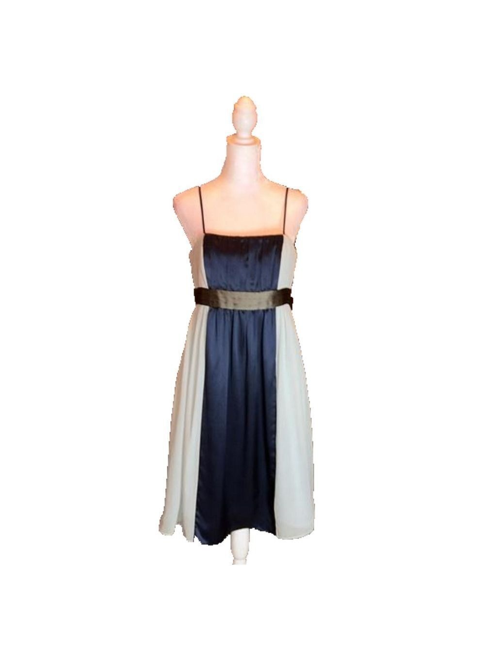 MAXANDCLEO Gorgeous 100% Silk Formal Strapless Dress Size 8P